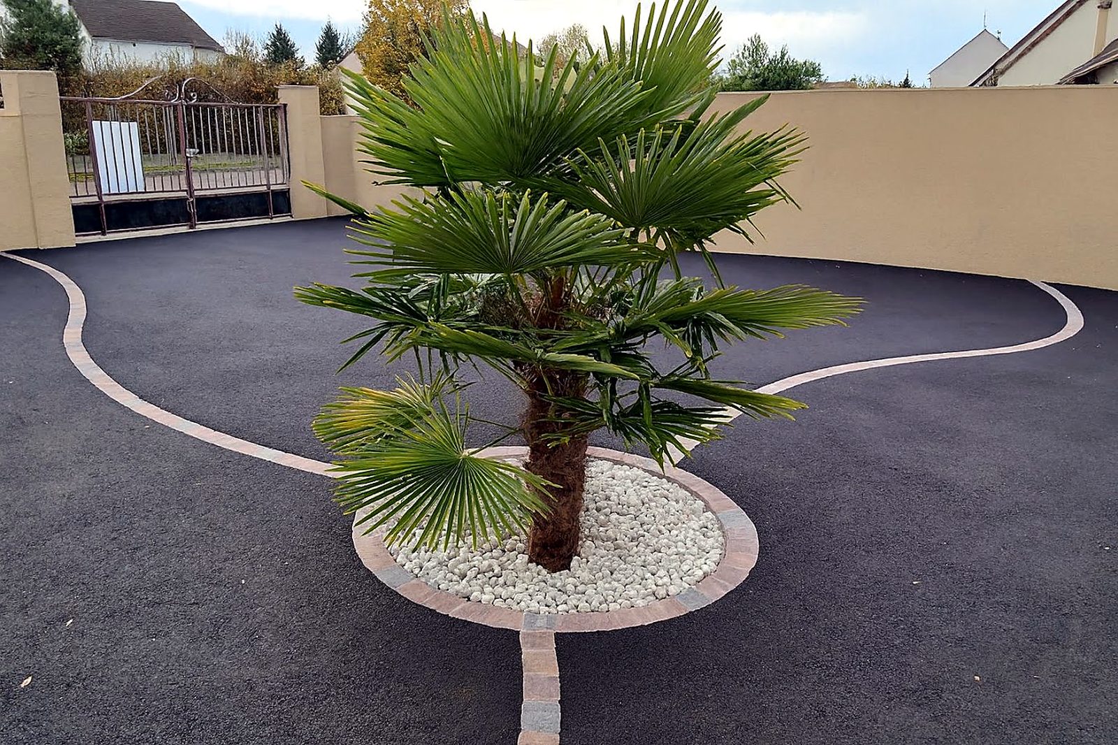 PAVEO-ToP : réserve circulaire en pavés et gravier autour d'un palmier.